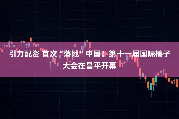引力配资 首次“落地”中国！第十一届国际榛子大会在昌平开幕