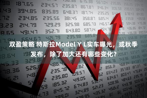 双盈策略 特斯拉Model Y L实车曝光，或秋季发布，除了加大还有哪些变化？