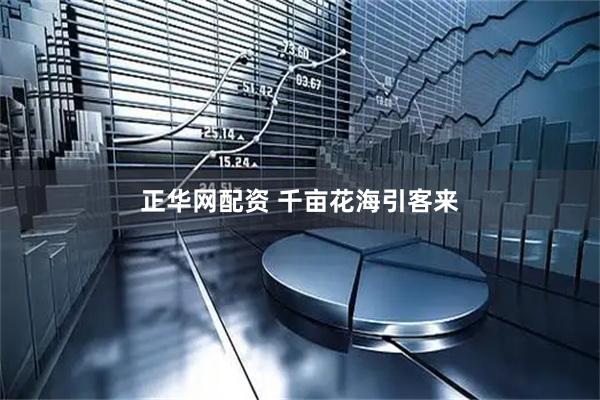 正华网配资 千亩花海引客来