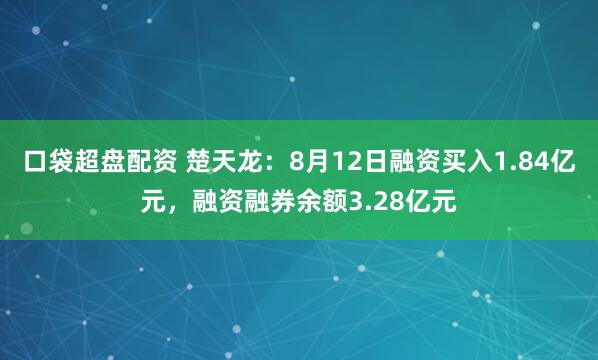 口袋超盘配资 楚天龙：8月12日融资买入1.84亿元，融资融券余额3.28亿元