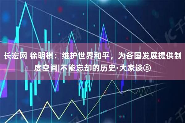 长宏网 徐明棋：维护世界和平，为各国发展提供制度空间|不能忘却的历史·大家谈⑧